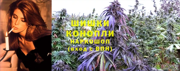 наркотики Бородино