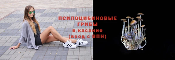 кокаин Богородицк