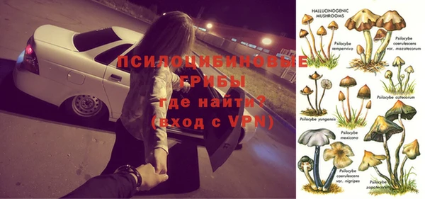 соль курить ск Богданович