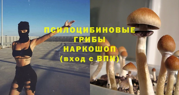 гидропоника Бугульма