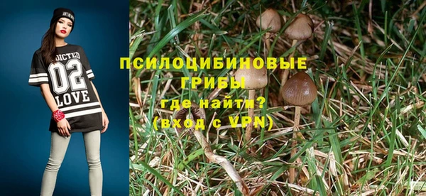 соль курить ск Богданович